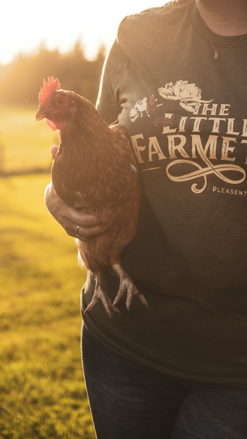Person in a green shirt cradles a brown chicken outdoors.